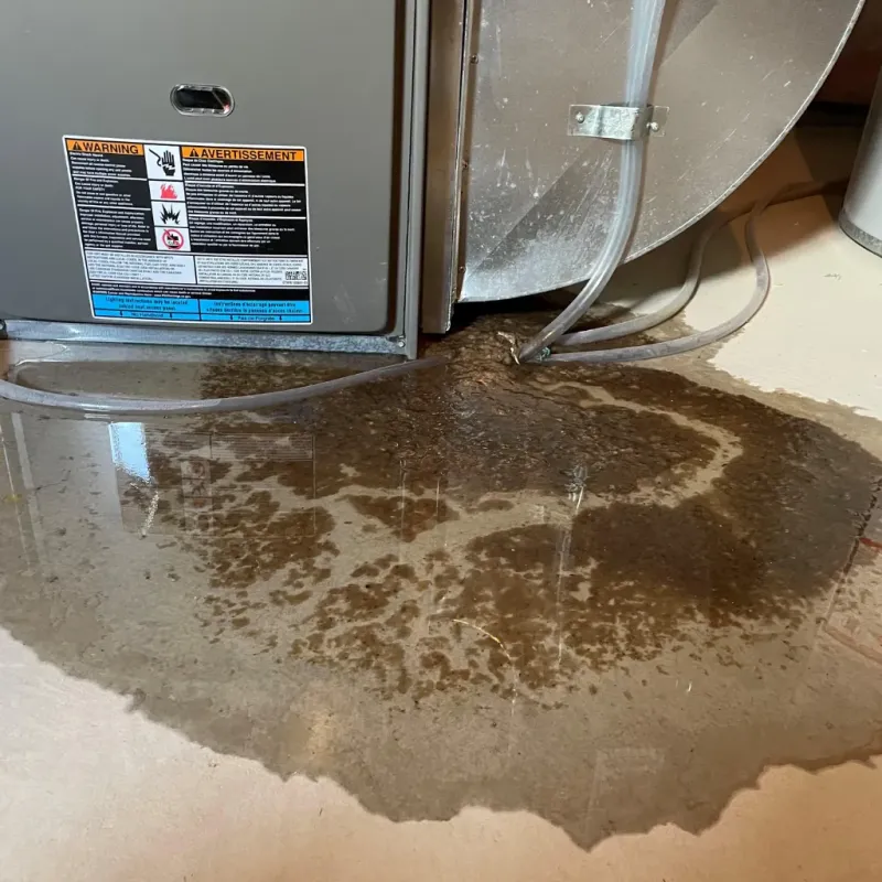 Appliance Leak Cleanup in Smith, NV